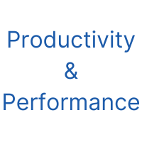 Productivity Performance